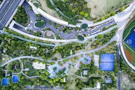 交流融洽！开拓者晒杨瀚森与昔日状元奥登合照